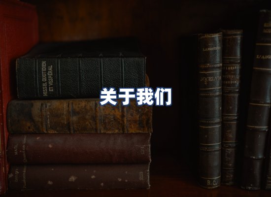 关于我们