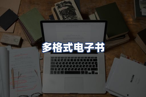 多格式电子书